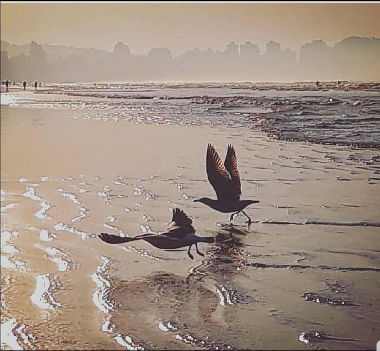 Appartamento Requinte E Sofisticacao Praia Grande  Esterno foto